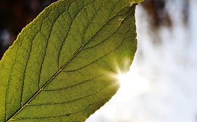 Le Mas du Soleil